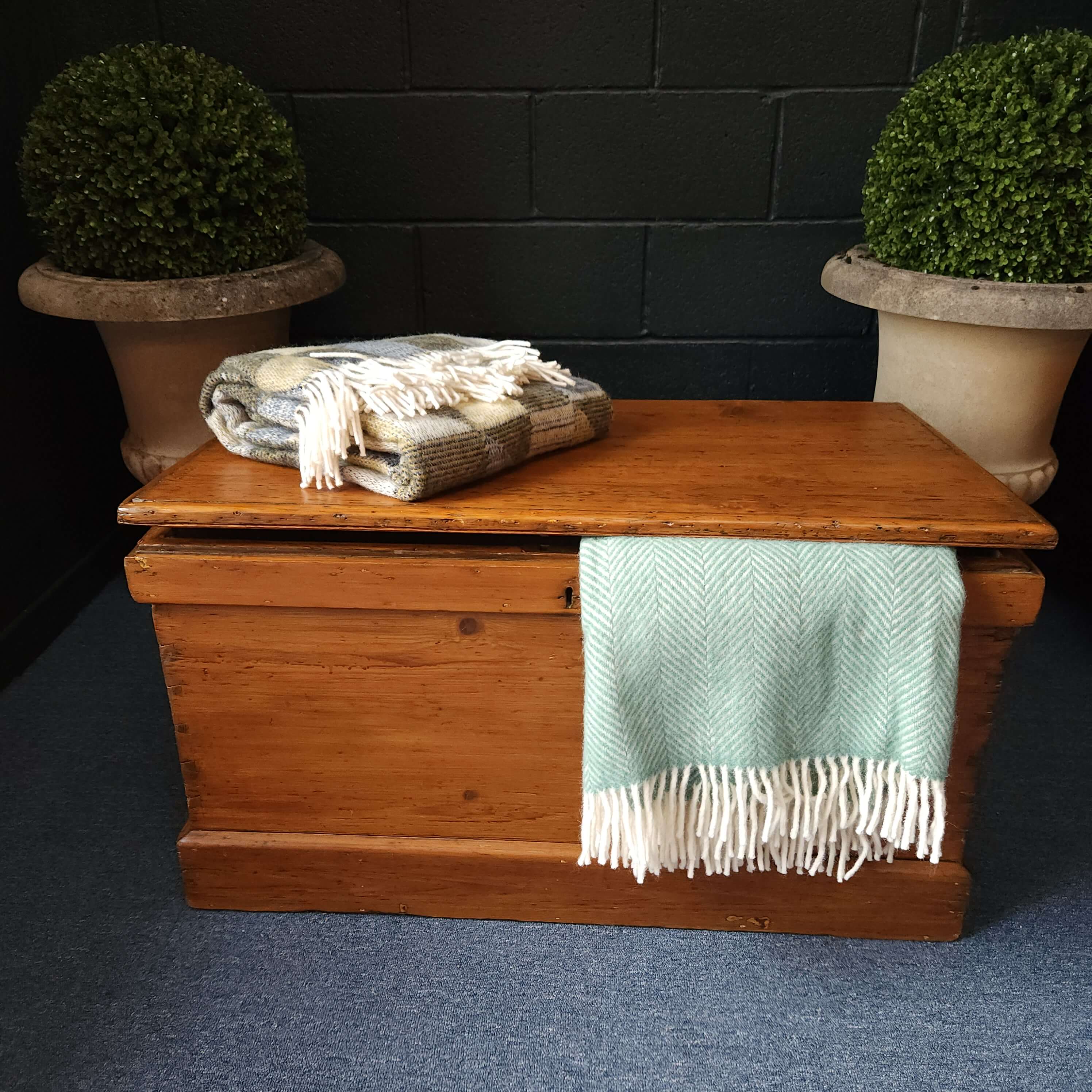 Pine Ships Trunk