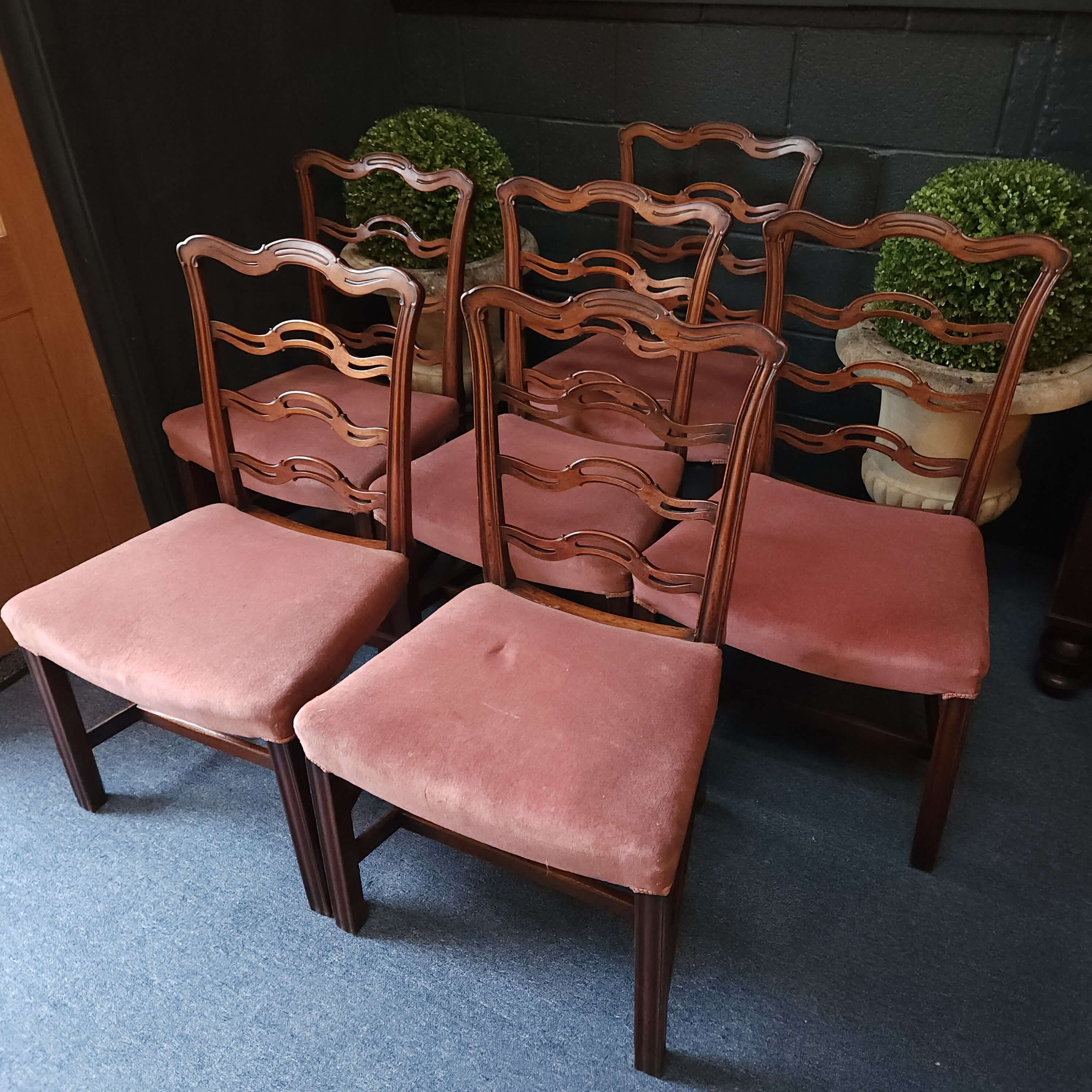 Set of 6 William III
                                                          Ladderback
                                                          Dining Chairs